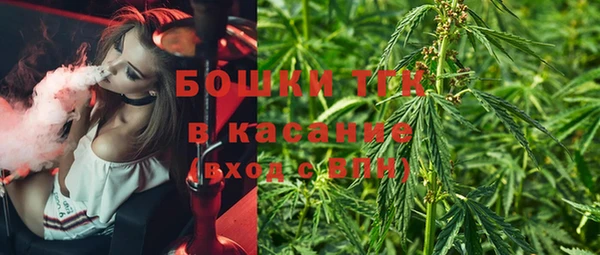 дурь Алексин