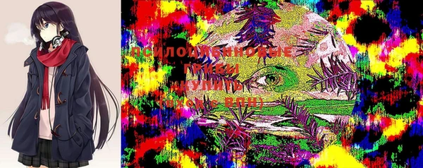 дурь Алексин