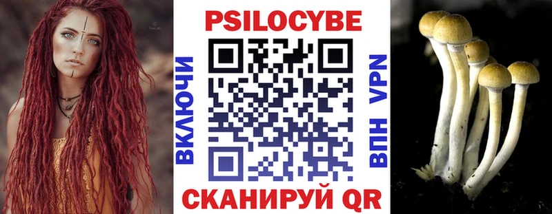 Галлюциногенные грибы MAGIC MUSHROOMS  Новозыбков 