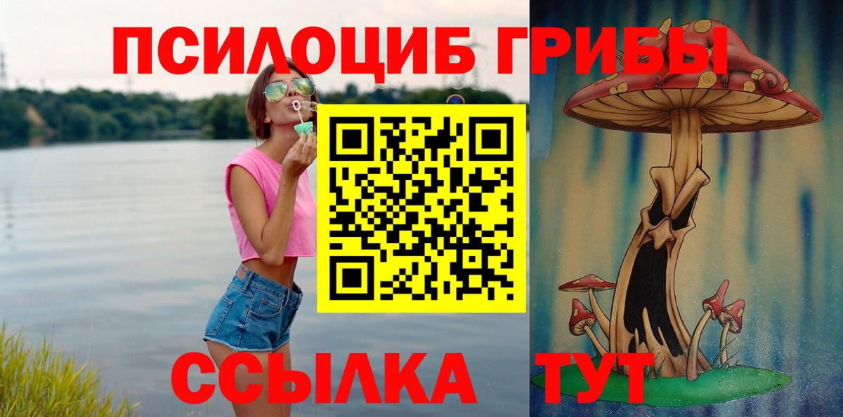 Новозыбков  Псилоцибиновые грибы Magic Shrooms  Вход с VPN 