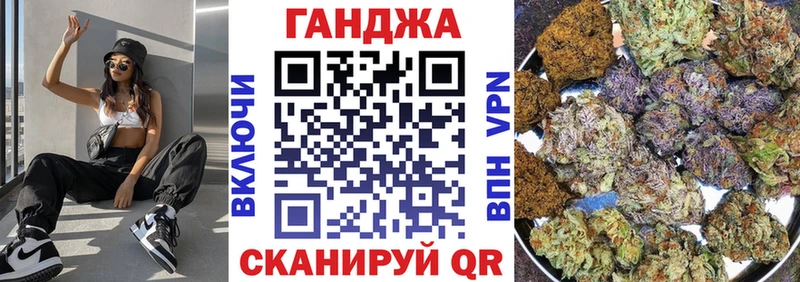 наркотики  Новозыбков  Марихуана сатива 